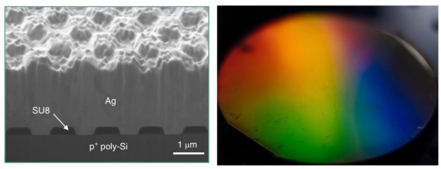 Backside photonic light trapping